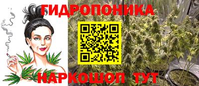 mdpv Мариинск