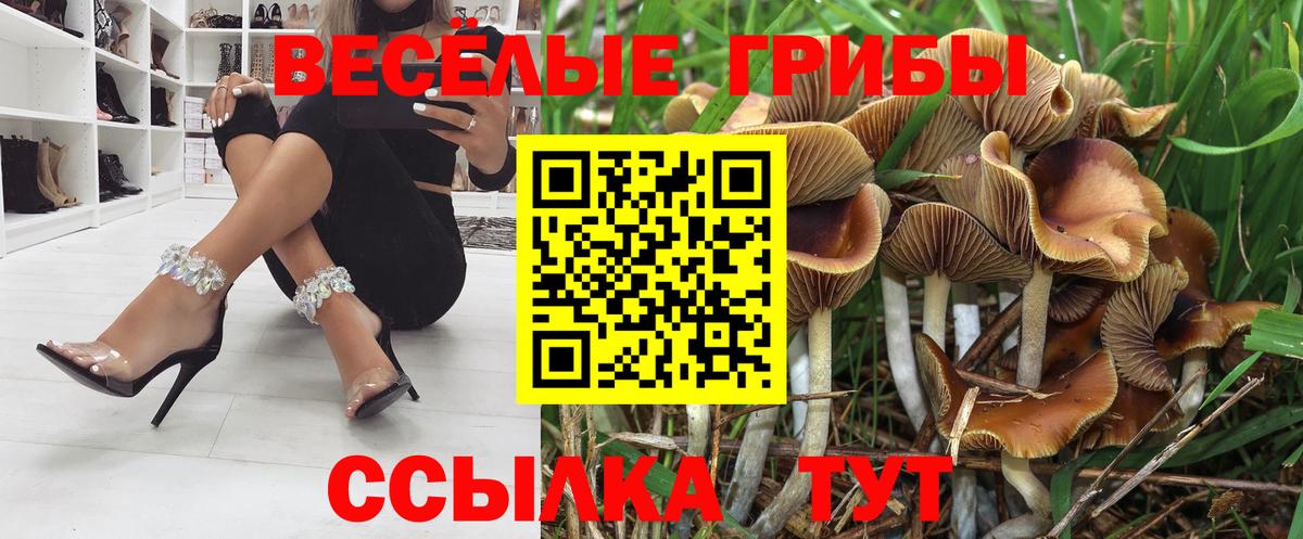 купить  сайты  Вход с VPN  Тосно  Галлюциногенные грибы мицелий 
